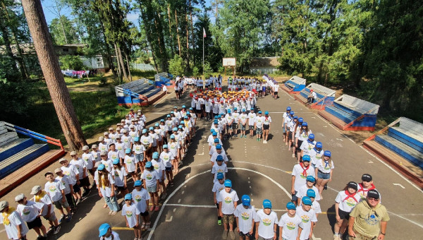 Закрытие смены МУДРАЯ СОВА